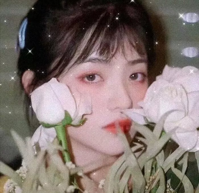 红色响尾蛇